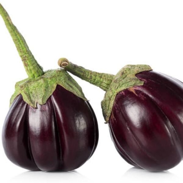 باذنجان رومي