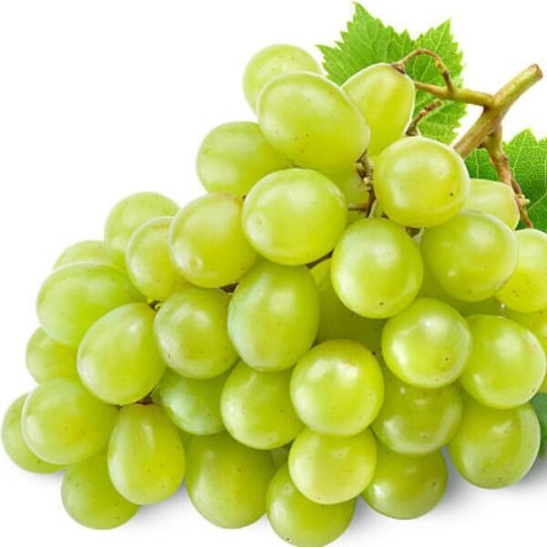 عنب اخضر
