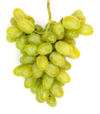 عنب لبناني