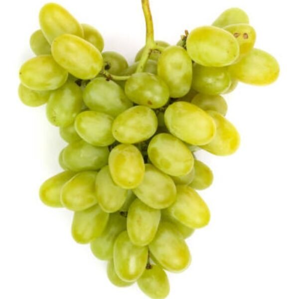 عنب لبناني