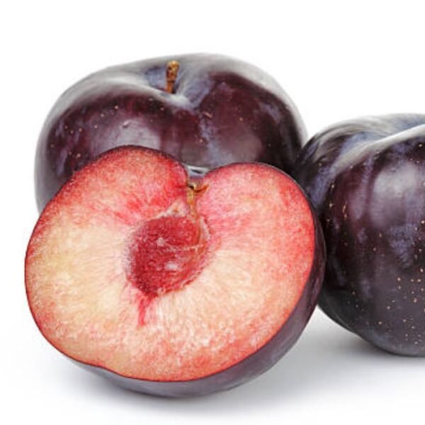 برقوق هليود