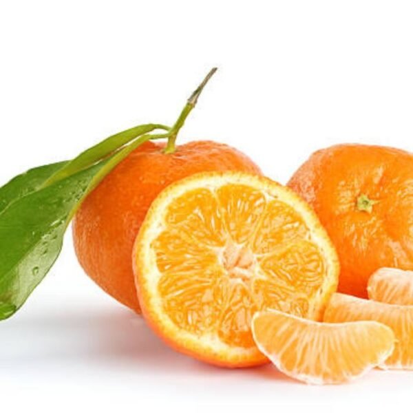 كلمنتينا عريشي