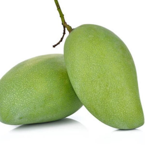 مانجو صديقه