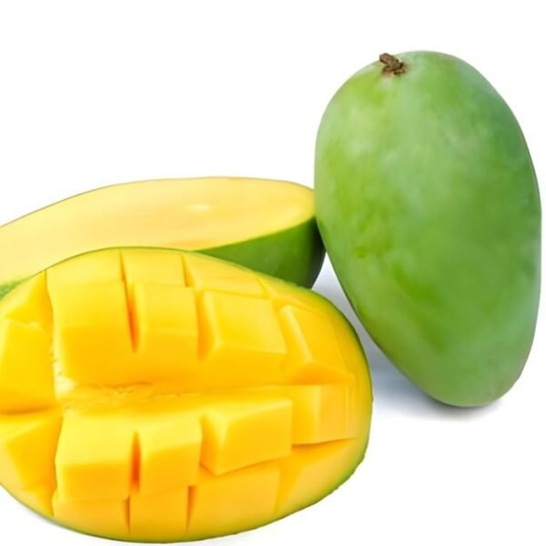 مانجو زبدية