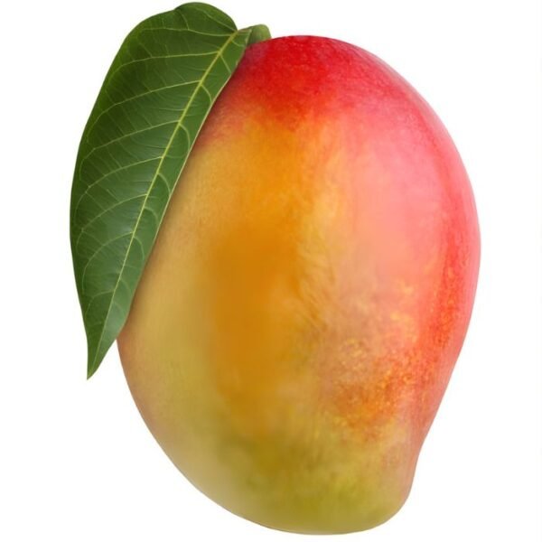 مانجو تيمور