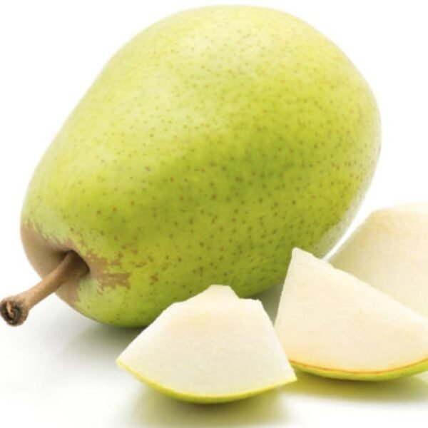 كمثري لبناني